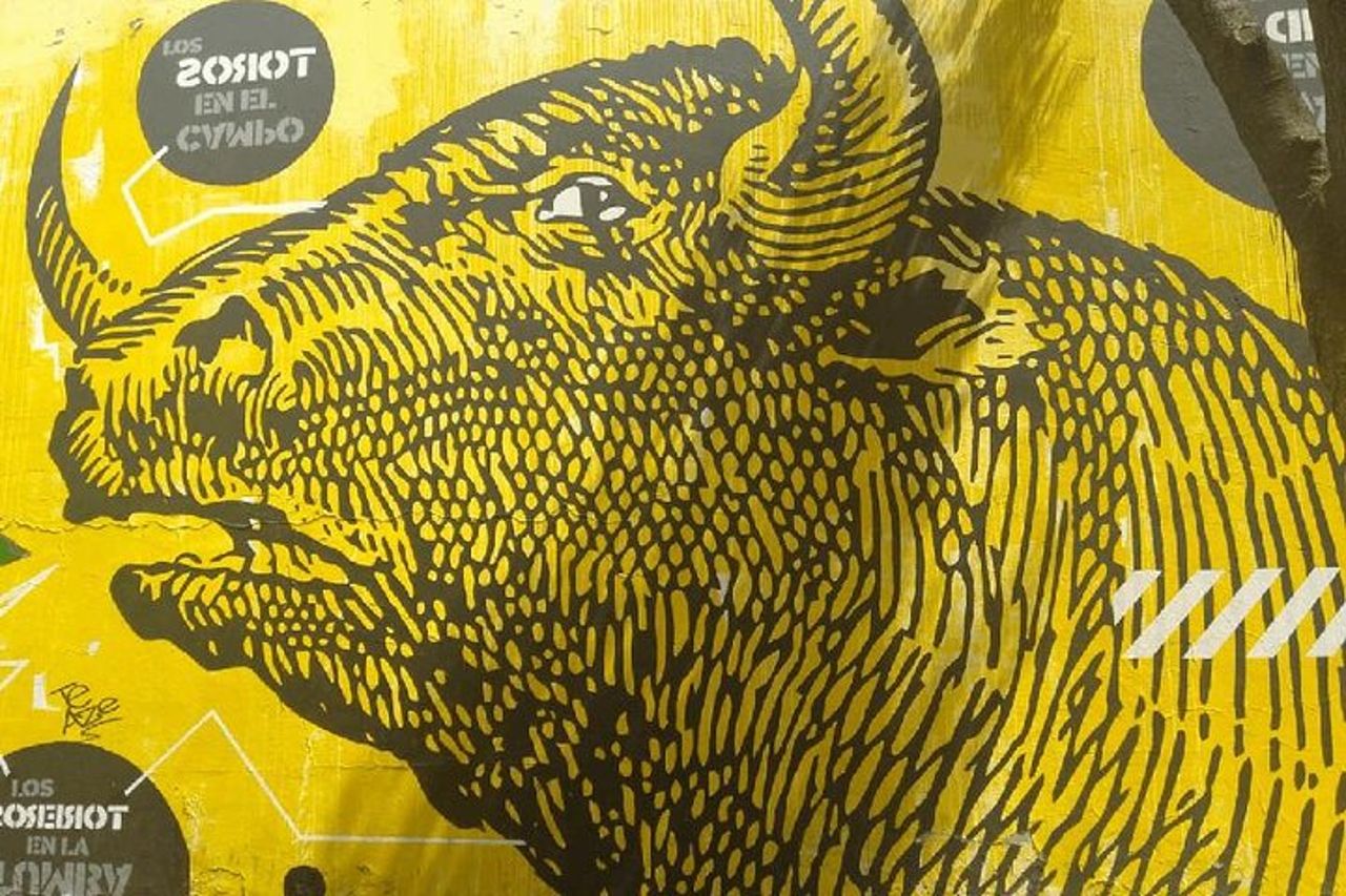 Tour privato a piedi dei graffiti di Bogotà — 9