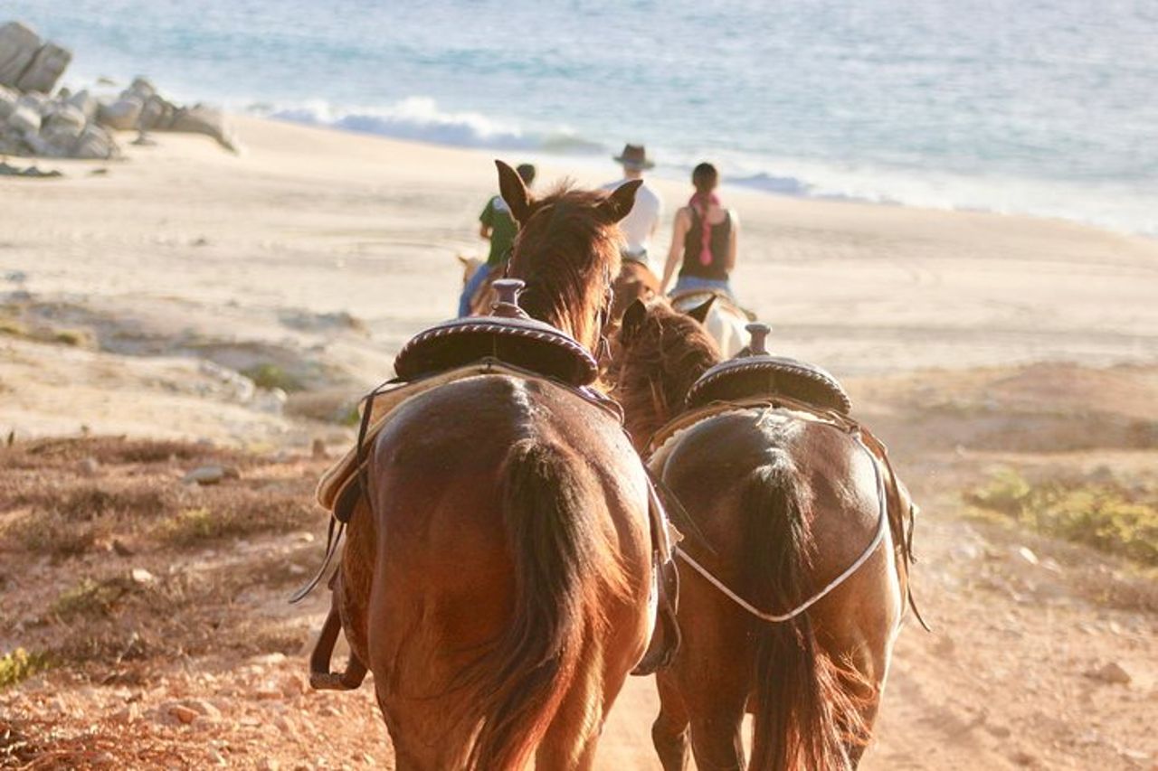 Tour a cavallo a Cabo San Lucas — 5