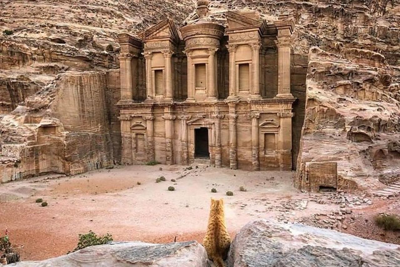 Petra Day Tour dal porto di Aqaba (Escursione a terra Petra) - JHT — 2