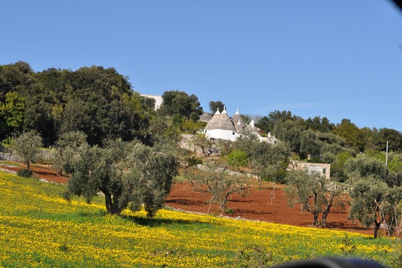 Tour di un giorno di Bari, Alberobello, Matera — 2