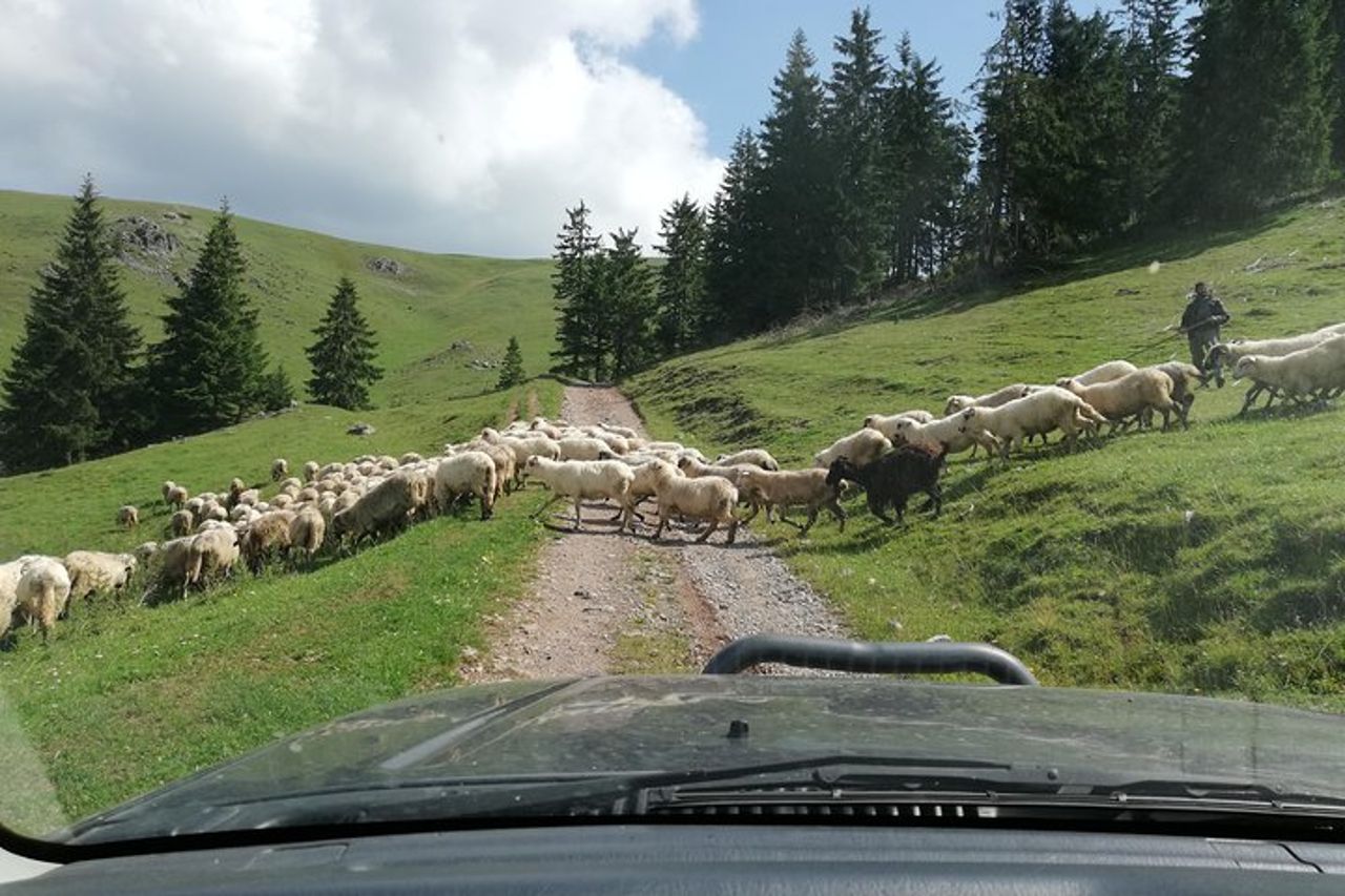 Tour di mezza giornata in 4x4 nei Carpazi orientali — 3