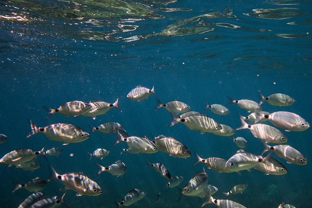 Cinque Terre Private Boat Tour — 3