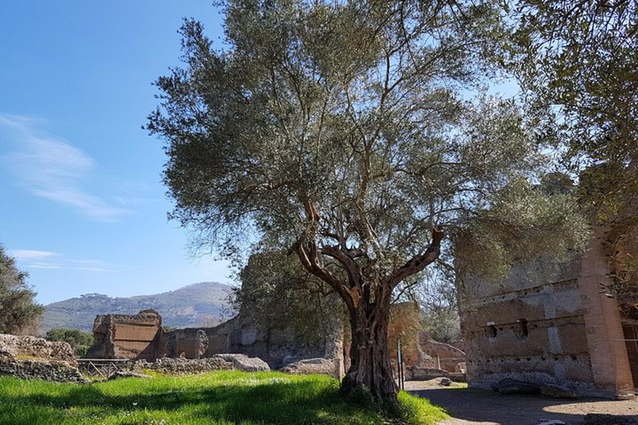 Gita di un giorno intero a Tivoli Villas da Roma con pranzo — 9