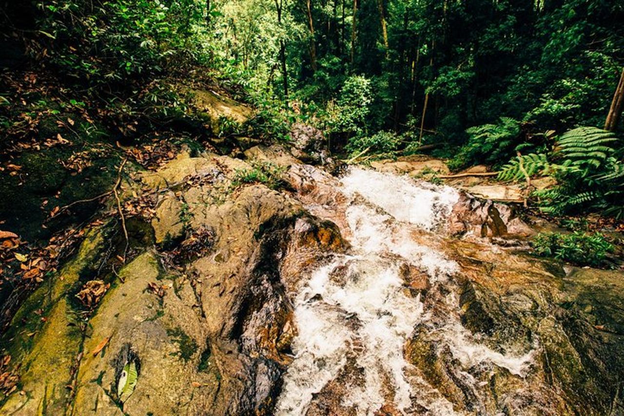 Tour privato delle grotte di Batu con prelievo da Kuala Lumpur — 8