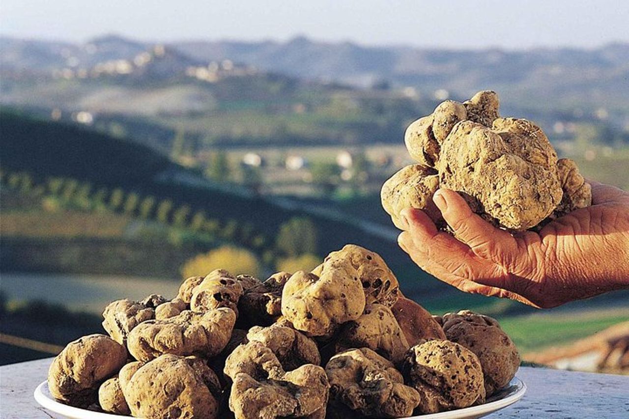 Gita di un giorno: caccia al tartufo con pranzo + visita guidata di Montefalco — 8