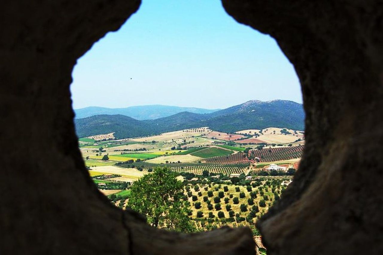 Il luogo dei sogni: il Giardino dei Tarocchi w/Wine tasting — 8