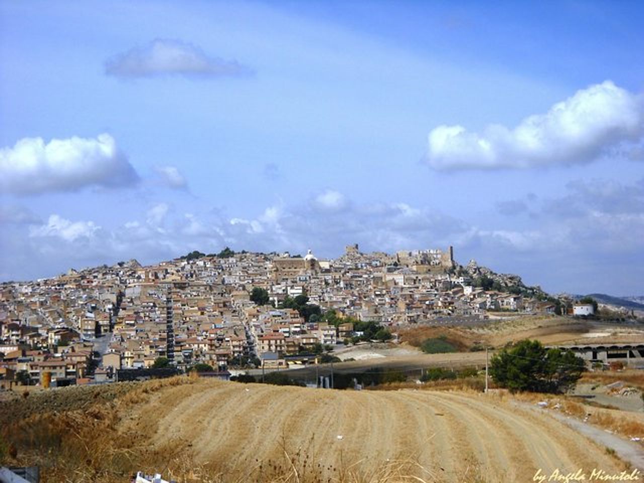 Agrigento e Piazza Armerina da Palermo — 5