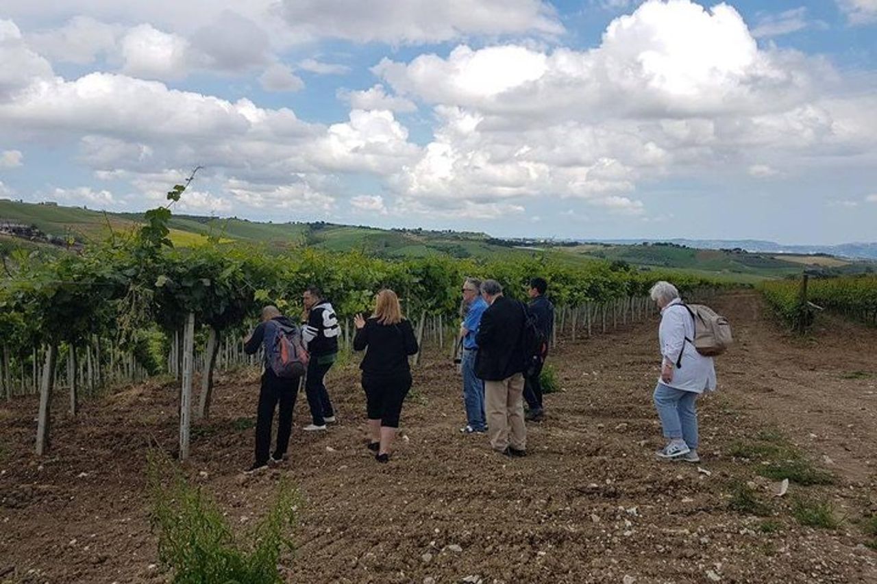Visita la cantina Marchesi de Cordano e degusta i suoi vini — 7