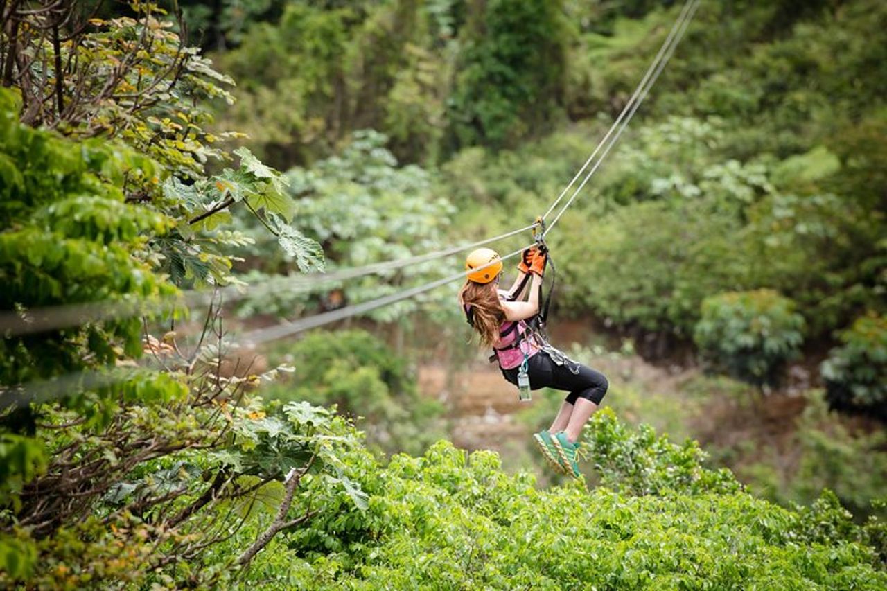 Offerta Speciale : Toro Verde 7 - Zipline Tour + Il Mostro + Trasporto — 5
