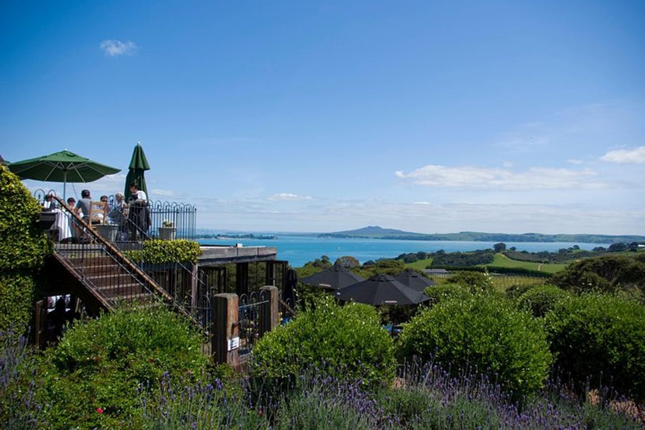 Waiheke island Wine Tours - degustazione di vini PREMIUM MAX 11 clienti ! — 6