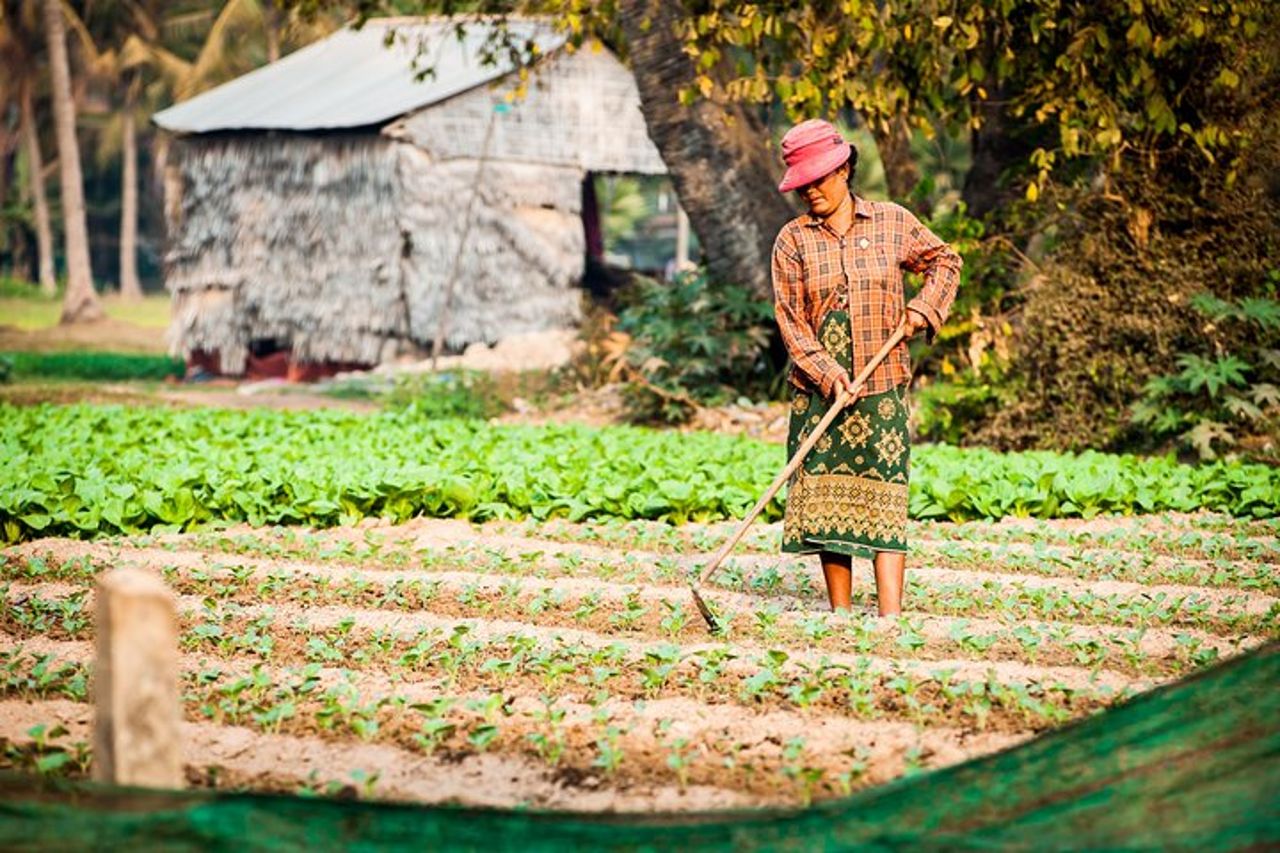 Tour guidato della campagna di Siem Reap in bicicletta e tour privato in e-bike — 4