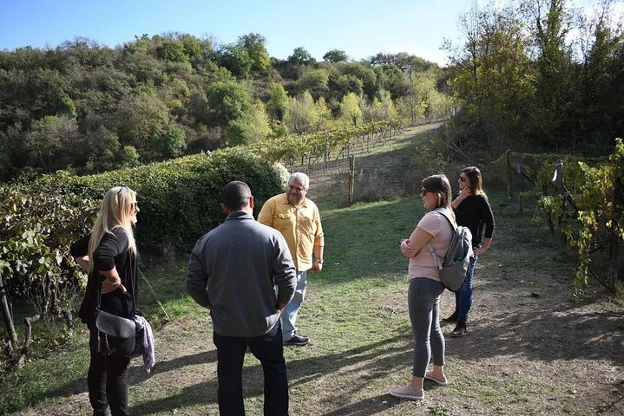 Tour in autobus dei vigneti di Brunello — 6
