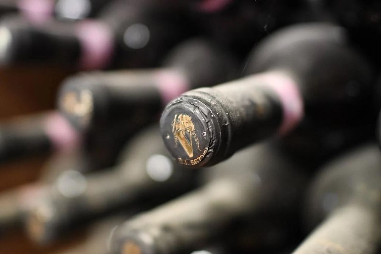 Tour in autobus dei vigneti di Brunello — 8