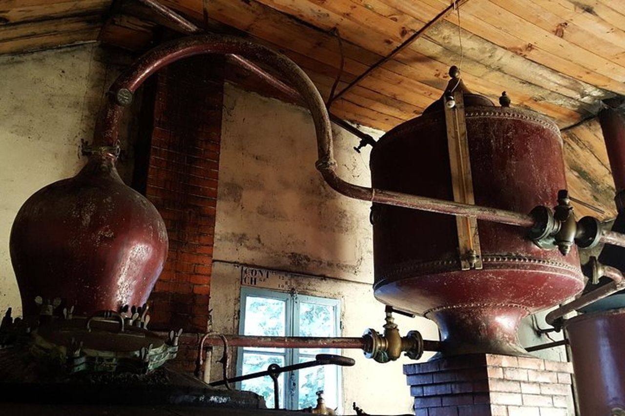 Tour privato di un giorno da Angouleme: sfaccettature del cognac: dalla vite al bicchiere — 2