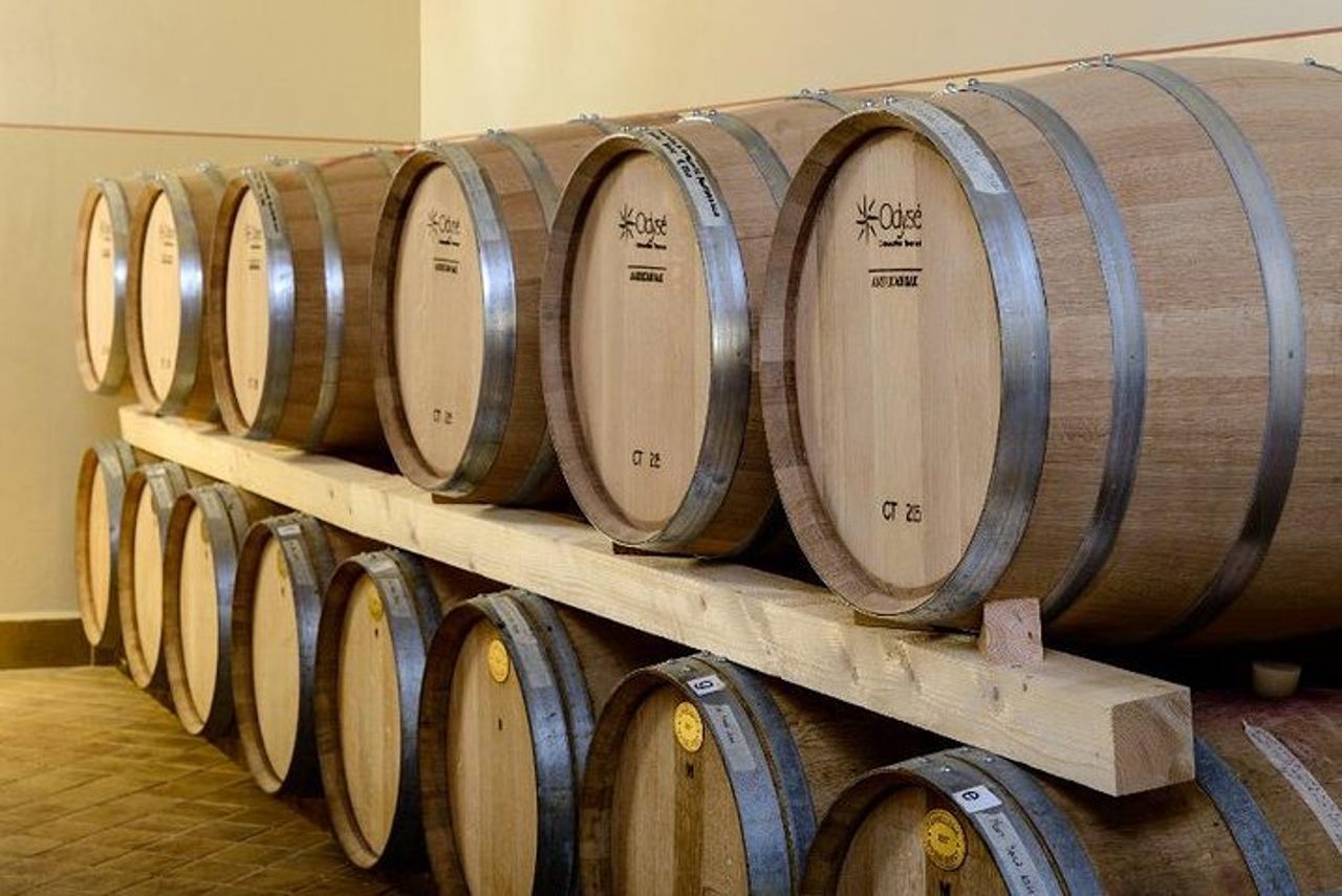 Assisi: Tour vinicolo di un giorno intero nell'area del Sagrantino — 5