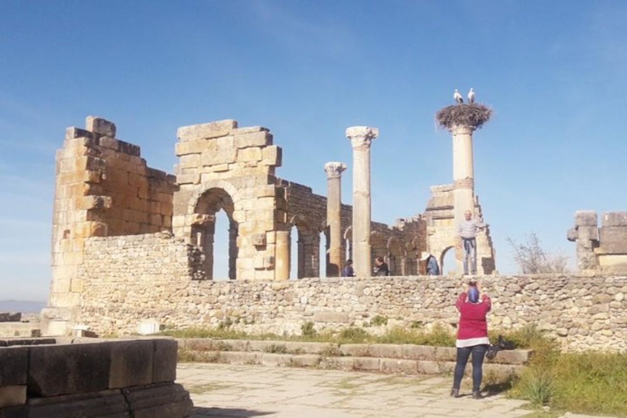Escursione Meknes Volubilis — 4
