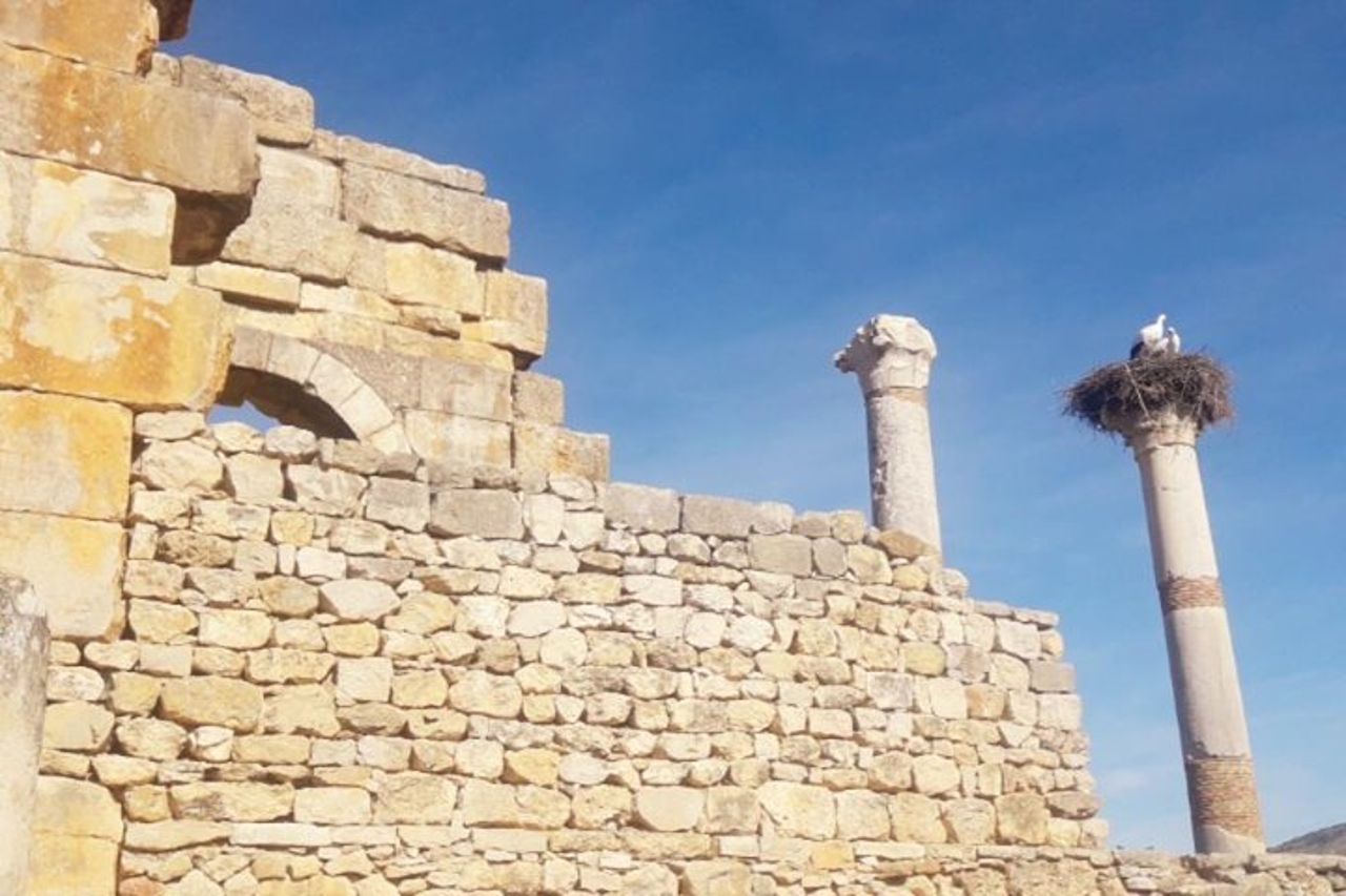 Escursione Meknes Volubilis — 5
