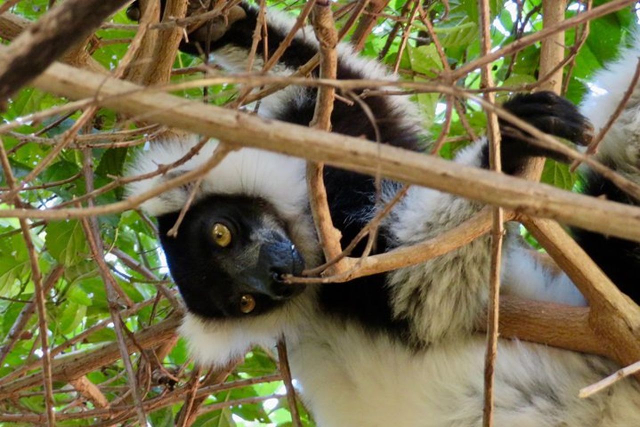 Madagascar in 3 giorni. Tour privato — 7