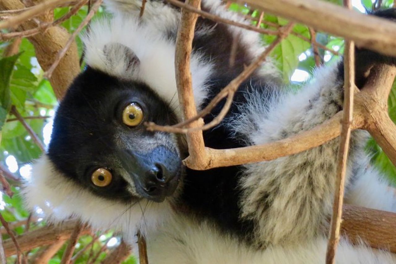 Madagascar in 3 giorni. Tour privato — 9
