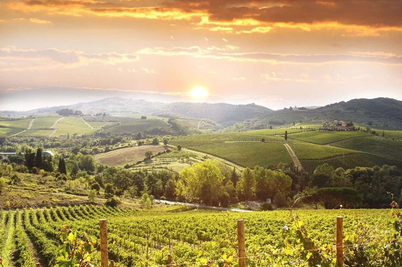 Esperienza enologica privata di Pisa, pasta e Chianti e pranzo da Montecatini — 2