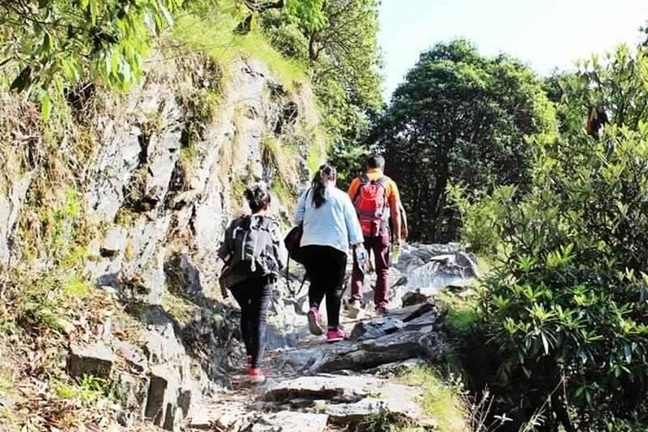 Escursione Giornata Tour a Triund da Dharamshala — 6