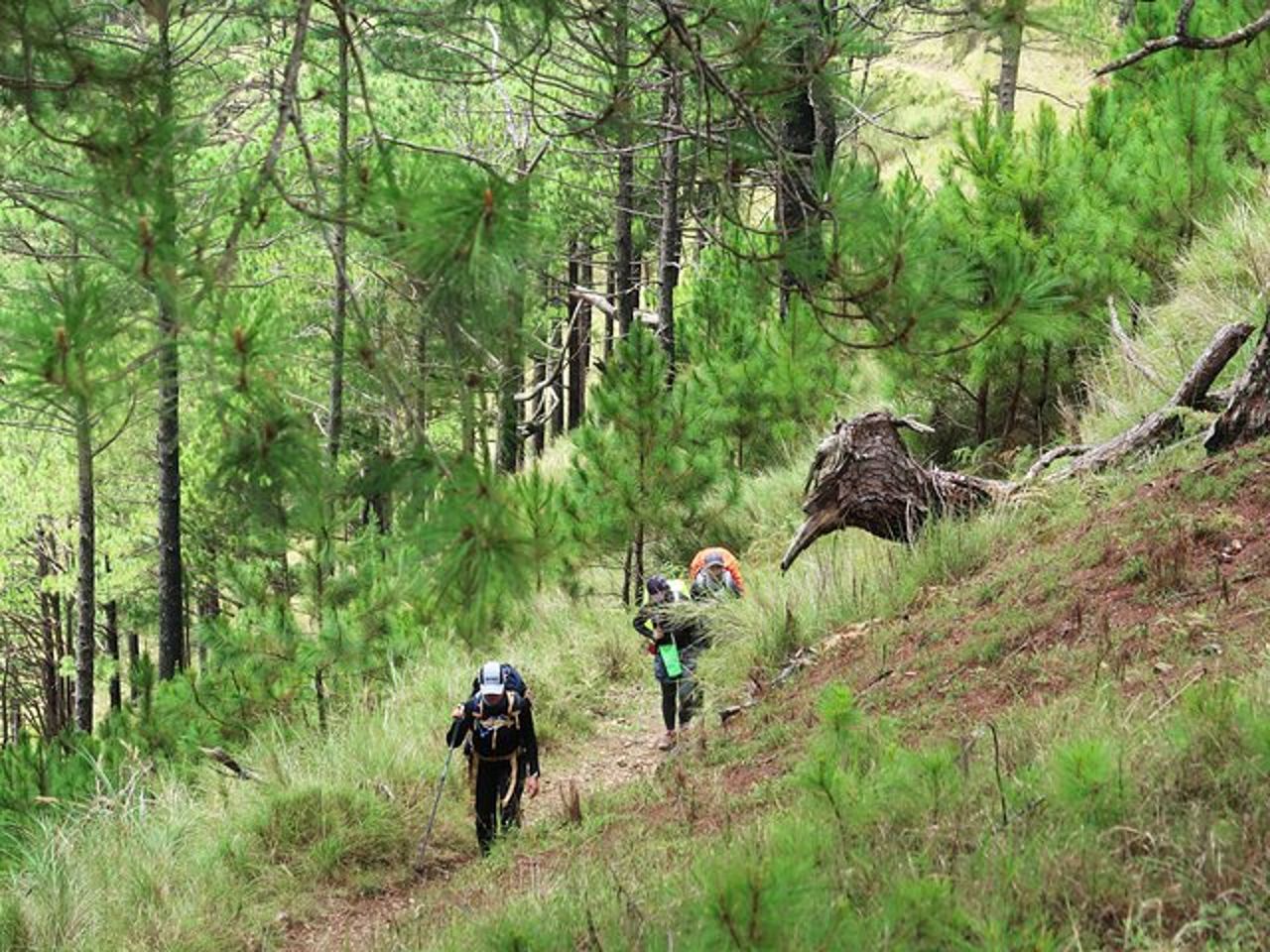 Escursione Giornata Tour a Triund da Dharamshala — 9