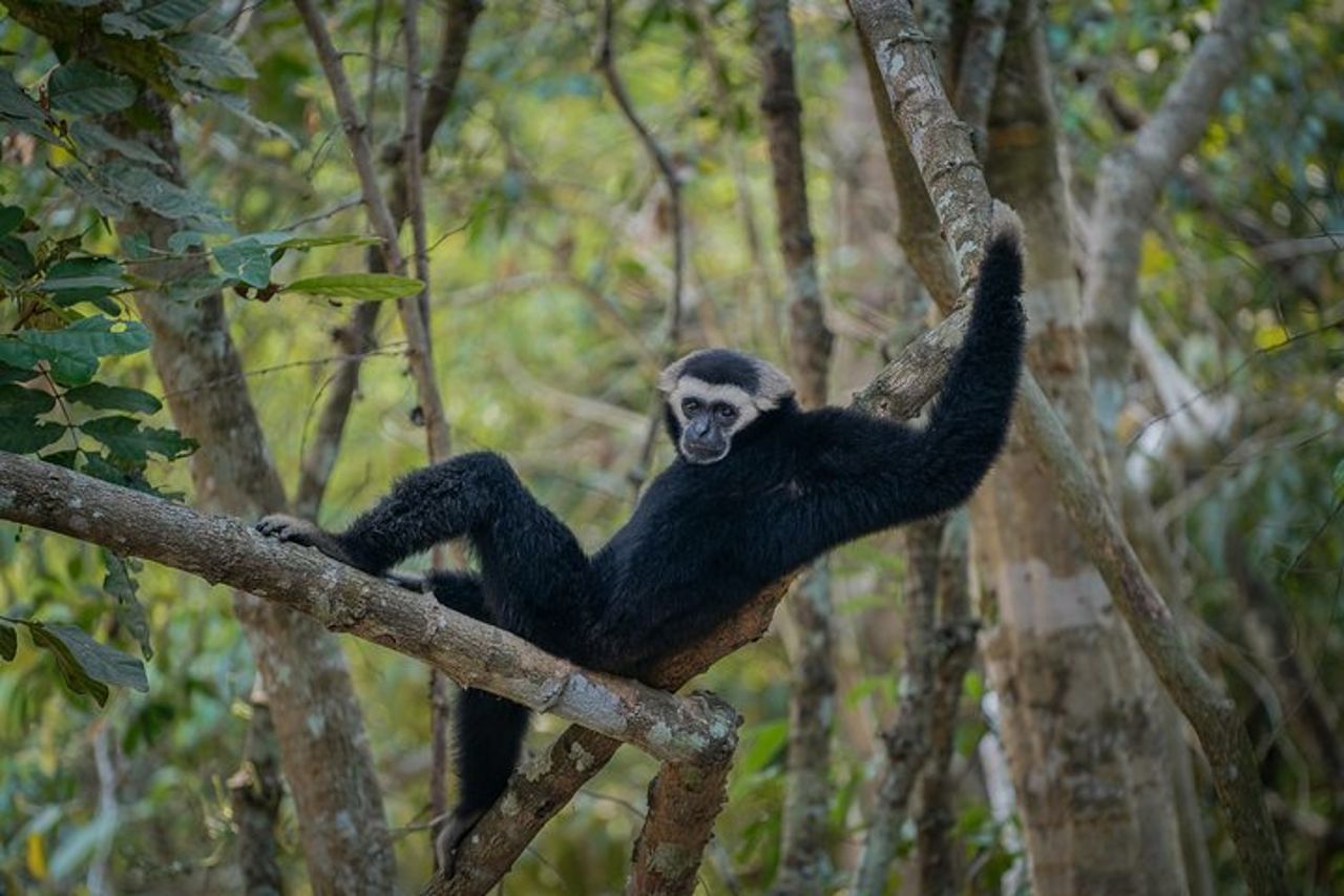 Avventura in teleferica all'Angkor Wat Park a Siem Reap — 7