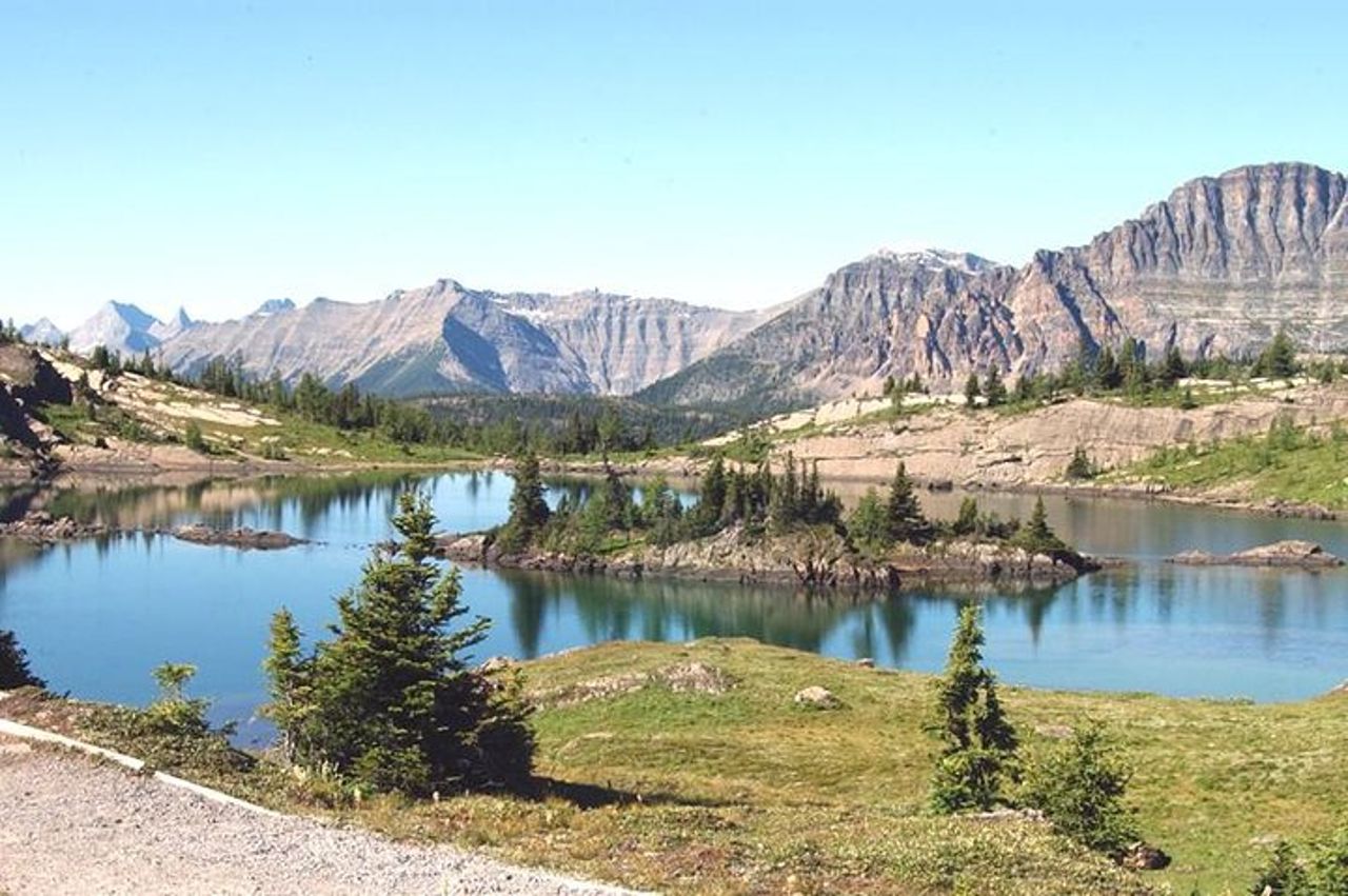 Sunshine Meadows Vistas - Escursione guidata (facile) — 2