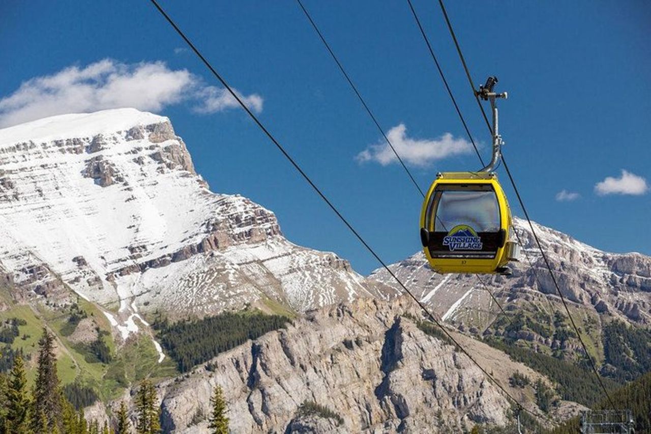 Sunshine Meadows Vistas - Escursione guidata (facile) — 7