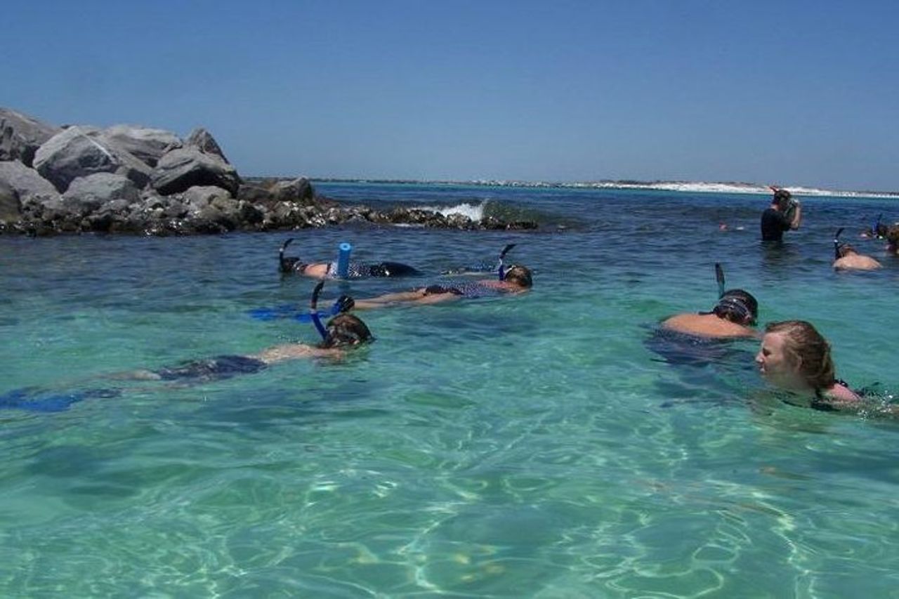 Snorkeling, Shelling ed Eco Escursione da Destin — 2