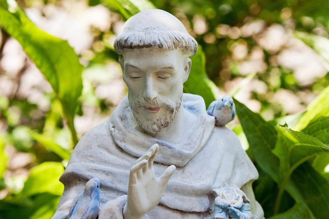 Tour guidato di un giorno ad Assisi e Orvieto da Roma con pranzo — 4