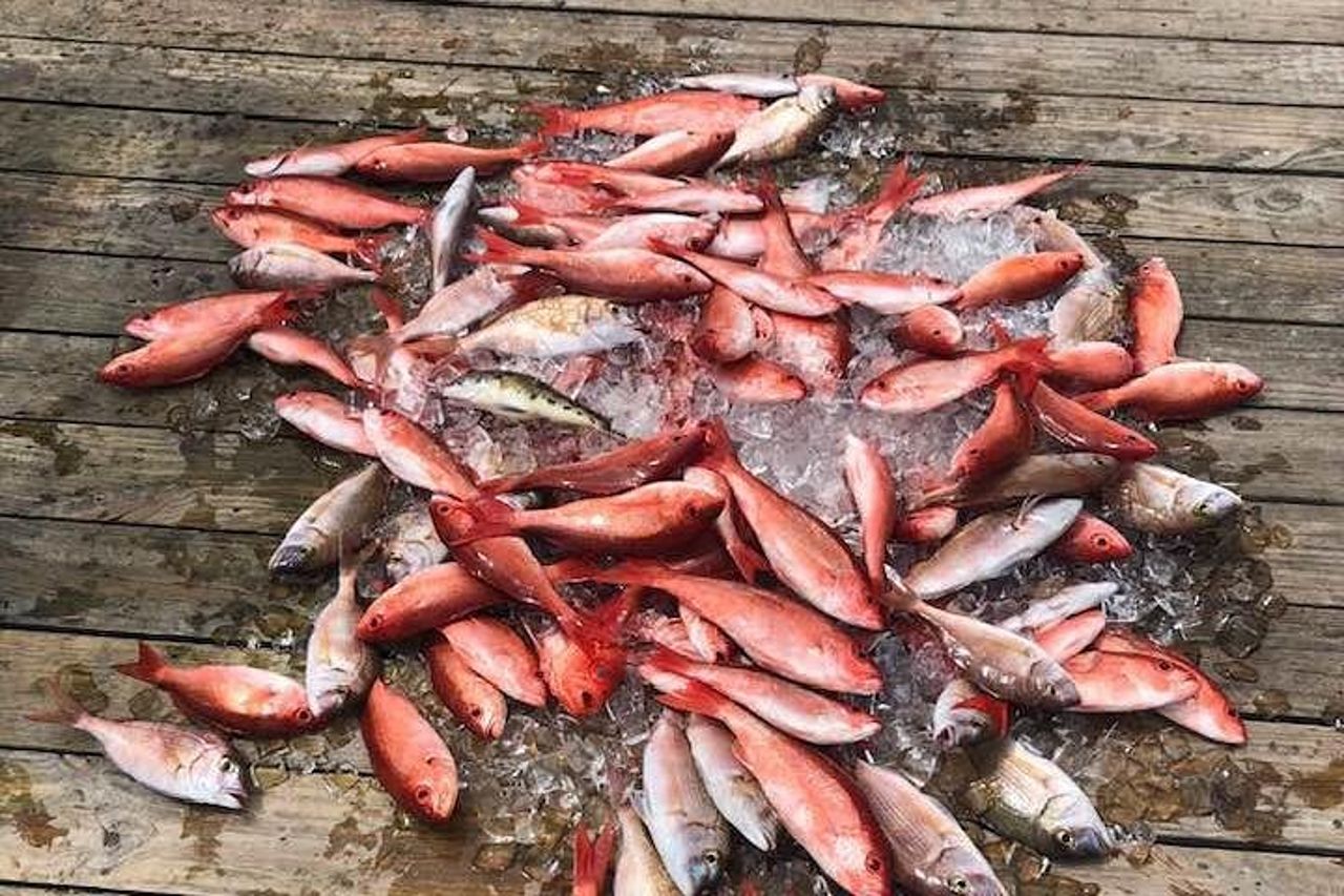 Viaggio condiviso di pesca d'altura da Destin — 6