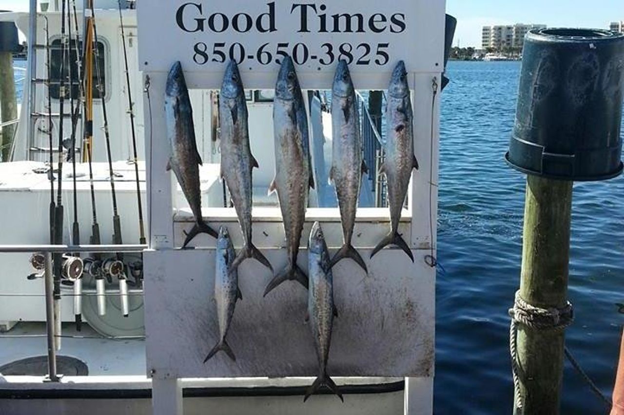 Viaggio condiviso di pesca d'altura da Destin — 9