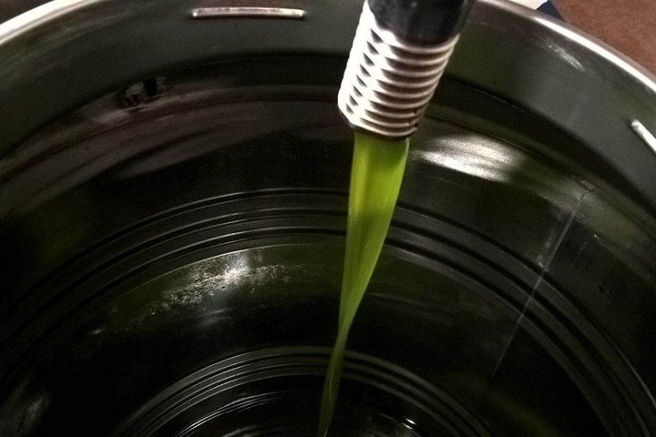 Assaggiatore di olio d'oliva assaggiatore per un giorno! — 4