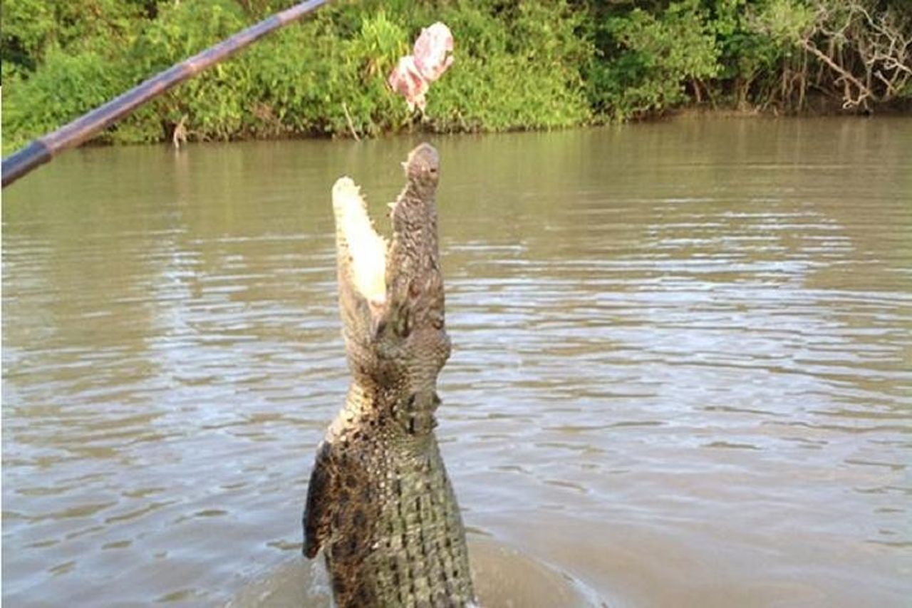 Litchfield National Park e Jumping Crocodile Cruise — 6