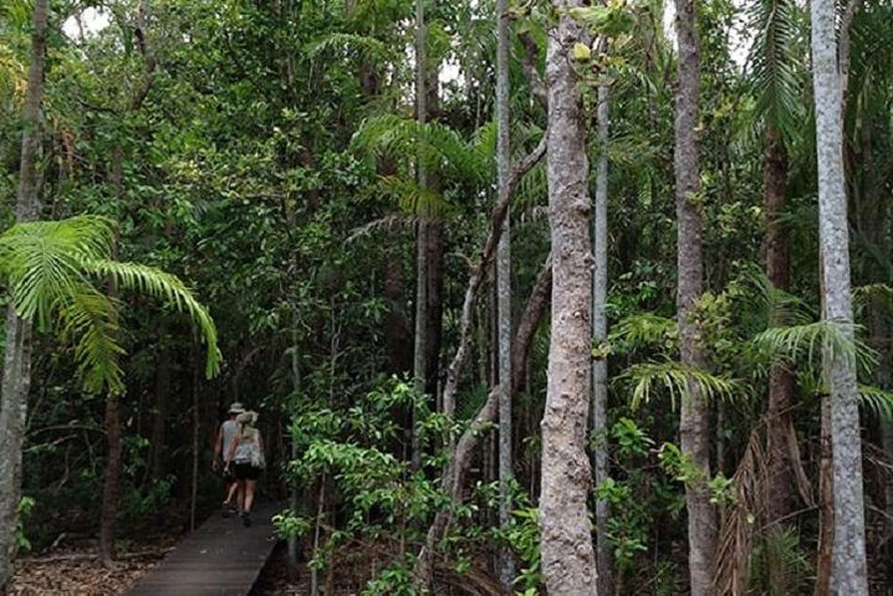 Litchfield National Park e Jumping Crocodile Cruise — 8