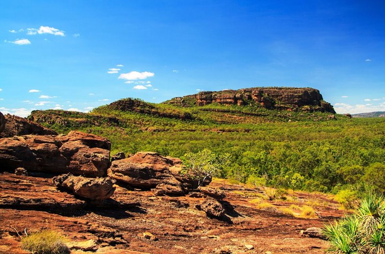 Darwin : Kakadu & Nourlangie Trip Plus Crociera Billabong con pranzo — 7