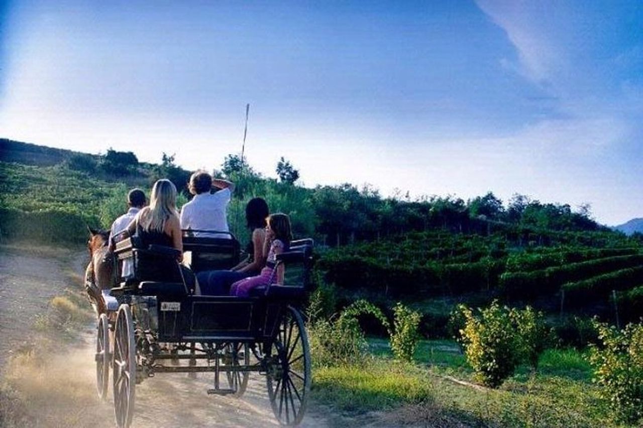 Giro in carrozza tra i vigneti - pranzo - Tour di Montefalco — 2