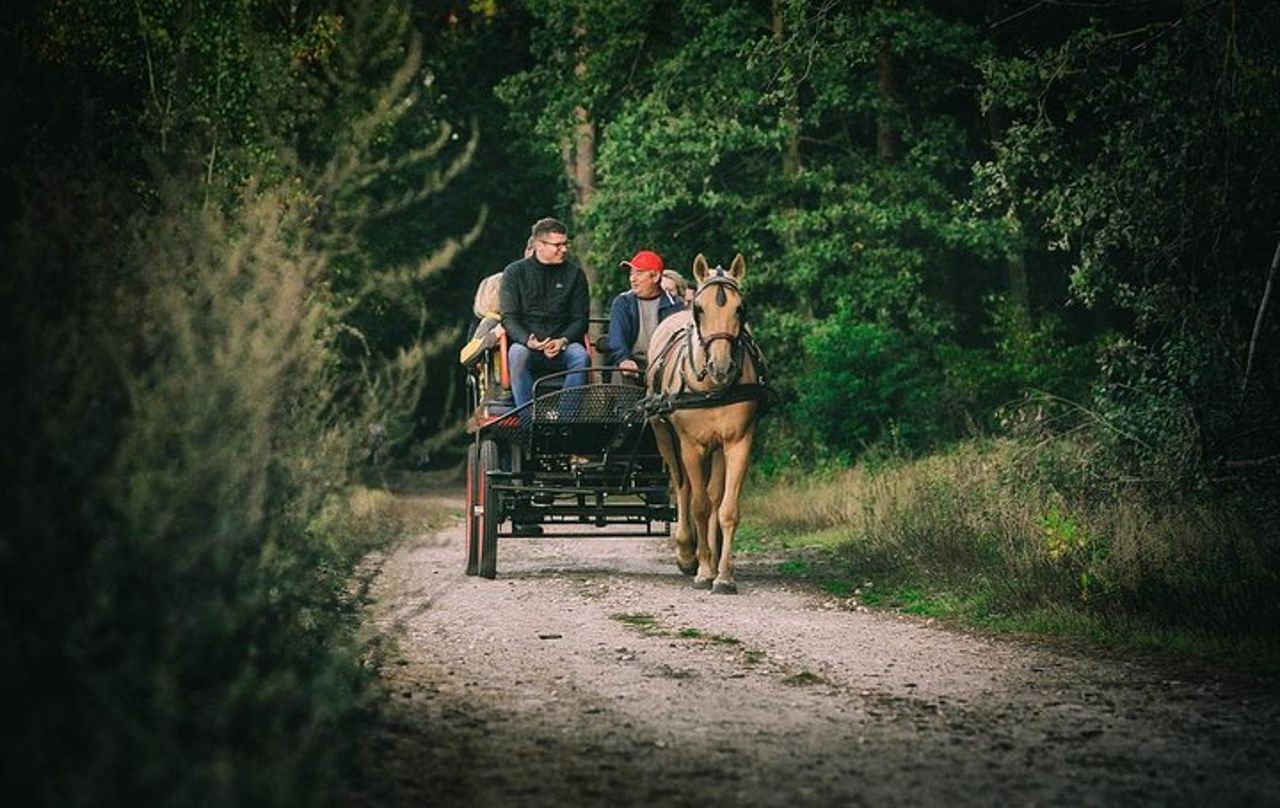 Carriage Ride in the Vineyards with Tasting and Tour of Assisi — 4