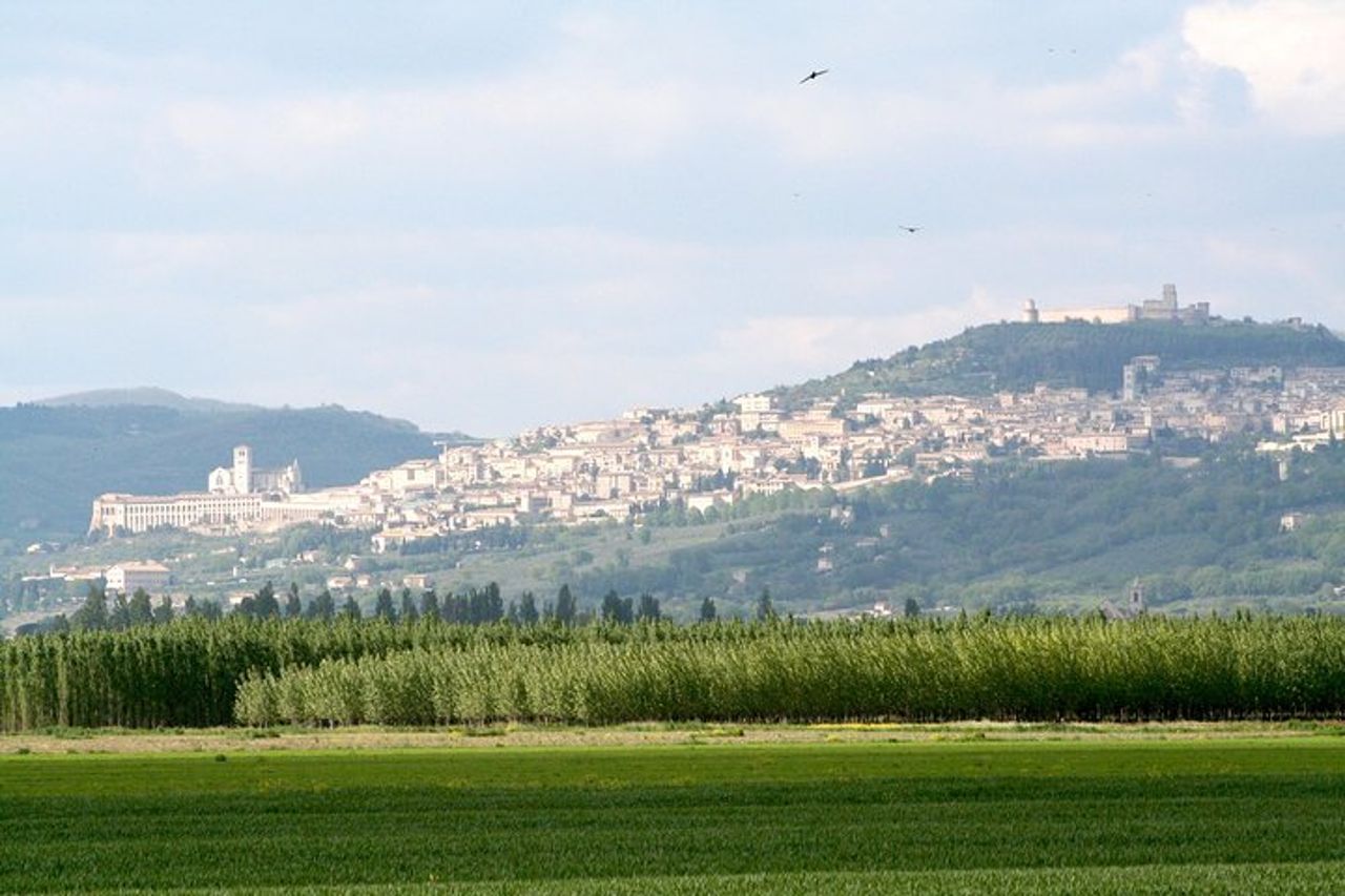 Carriage Ride in the Vineyards with Tasting and Tour of Assisi — 7