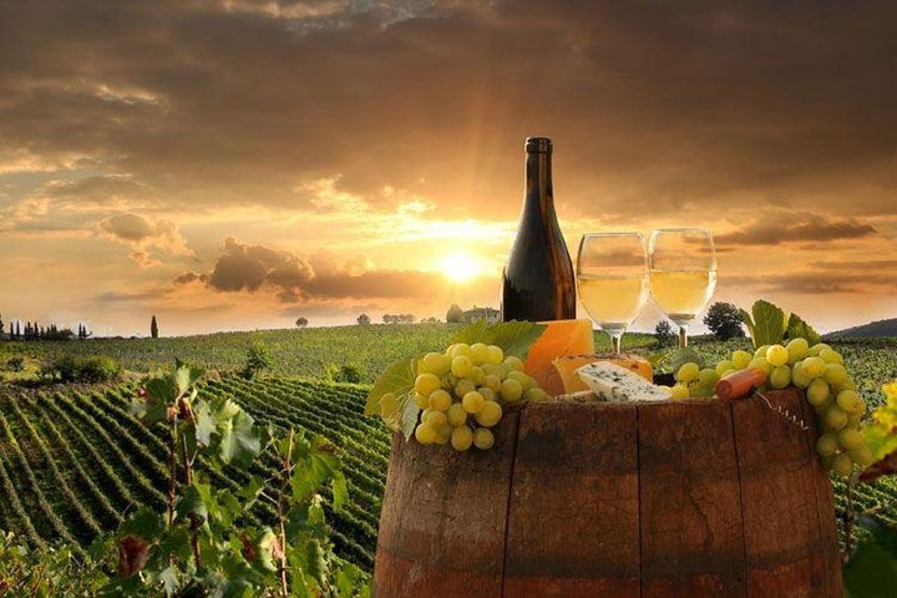 Gita di un giorno: tour privato di Orvieto e Civita Di Bagnoregio + tour del vino con pranzo — 6