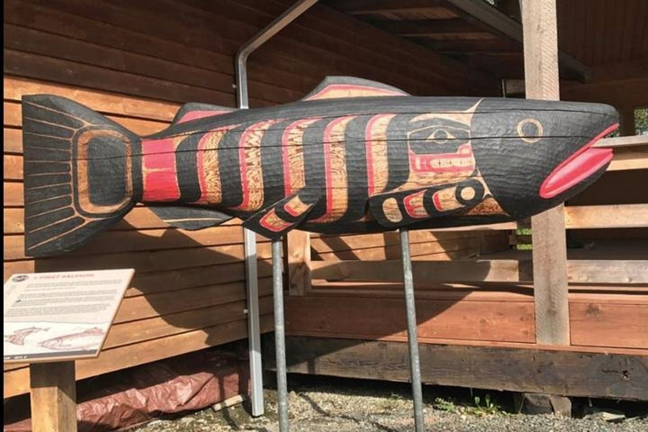 Escursione a bordo della Ketchikan: Eagle Sanctuary e Rainforest Wildlife Center — 5