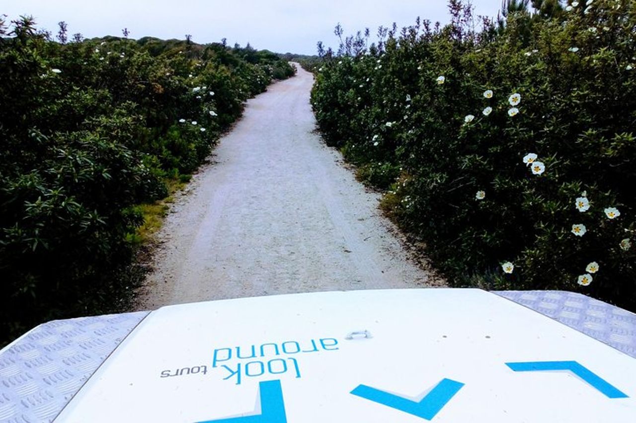 Tour privato Safari a Espichel Cape e spiagge selvagge della West Coast — 6