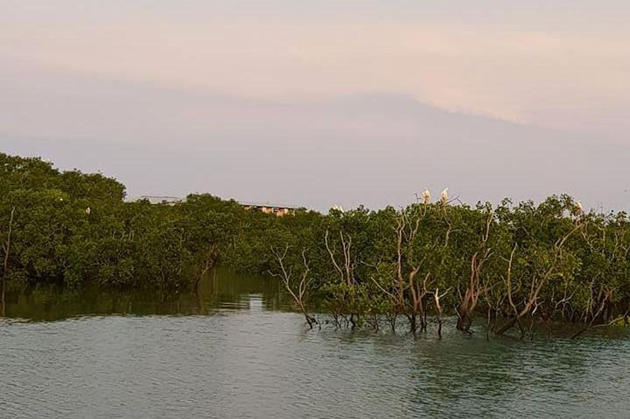 Scopri il porto di Darwin Crociera nel porto di Darwin di 1 ora — 8
