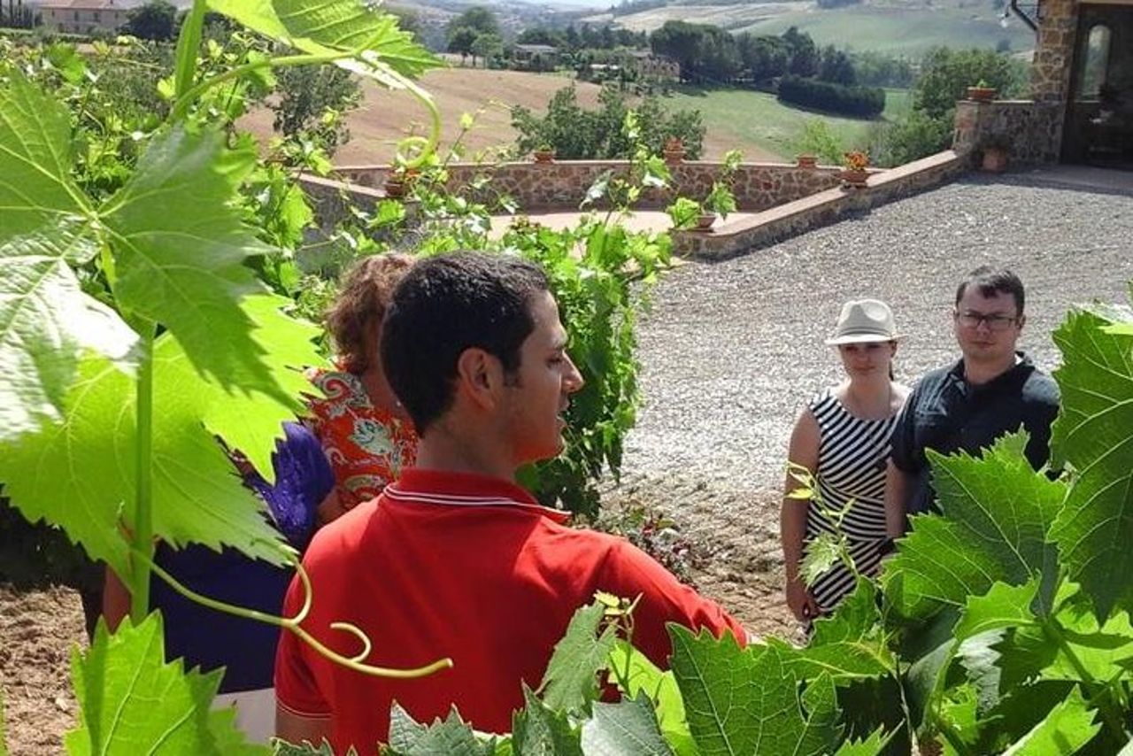 Tour enogastronomico — 2