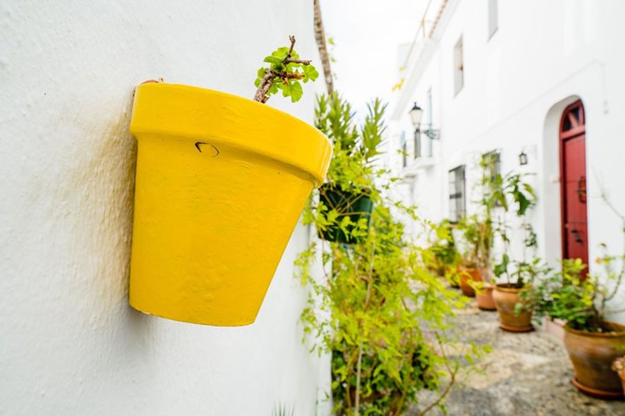 Gita di un giorno Nerja & Frigiliana con Skip-Line da Granada (Max. 8) — 3