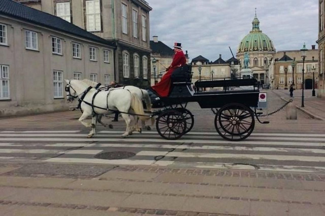 Tour a piedi di Copenaghen con degustazione di cibo (piatto di smorrebrod e scatto) — 3