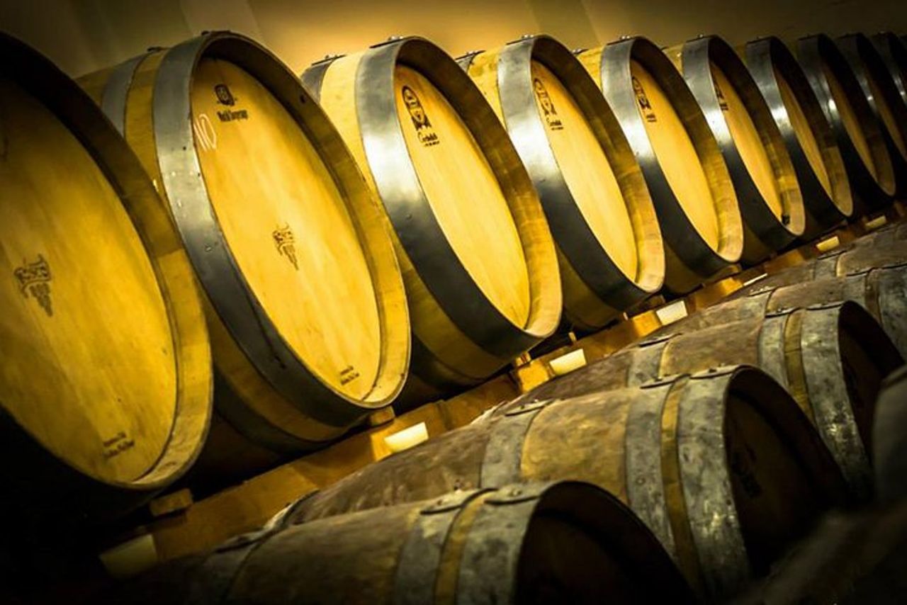 Cantine Bosco Nestore - Wine tour e Degustazione — 6