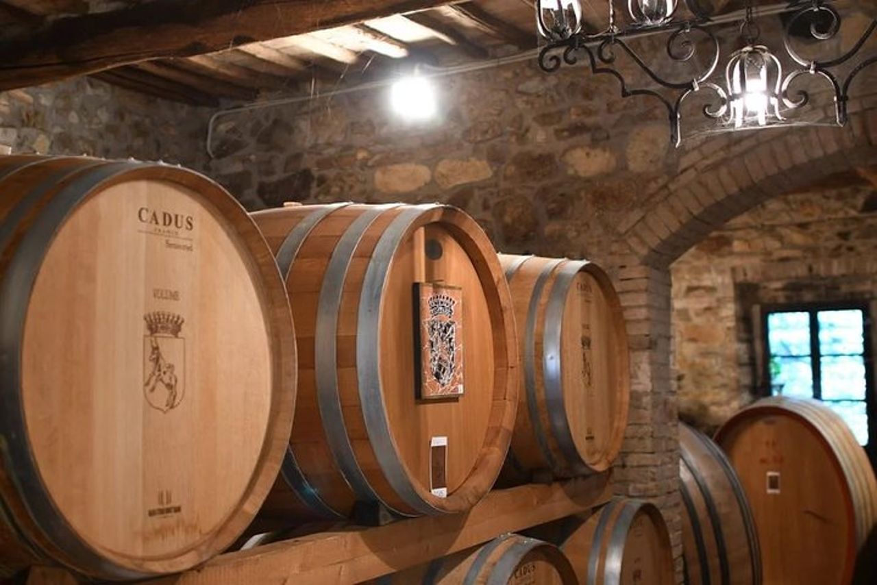 Tour del vino di Montalcino — 5