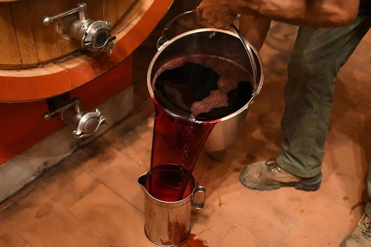 Tour del vino di Montalcino — 6